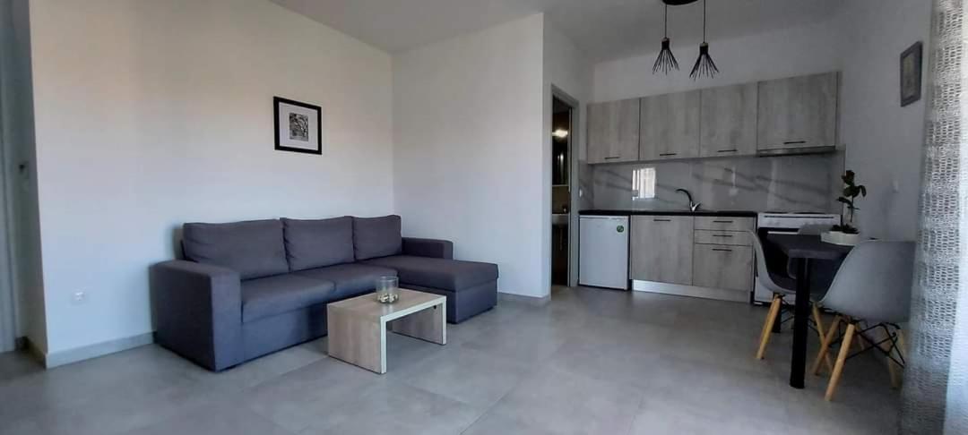 Milias Apartment'S Ierissos Værelse billede